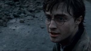 Гарри Поттер и Дары смерти Часть 1  Harry Potter and the Deathly Hallows Part I 2010