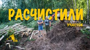 Как легко разработать заросший участок? Корчевание пней. Участок в Ленинградской области