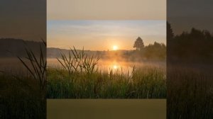 Строевая песня "Провожала милая на заре"❤️