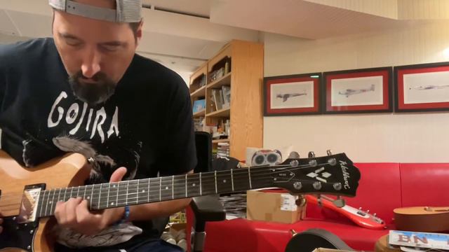 Washburn WI64 Demo Video смотреть онлайн