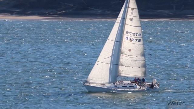 Sailboats racing in crowded river. Two sailboats collide breaking main sail mast - River Watch 006 смотреть онлайн