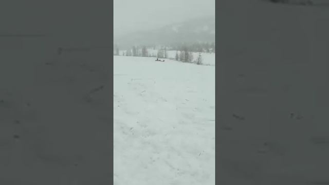 Улётные покатушки на мотобуксировщике!!!