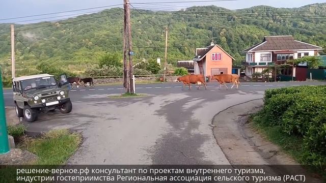 Горная река чайные плантации и горные пейзажи Адыгеи Сочи смотреть онлайн