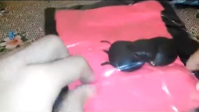 ARKA SHOP. Посылка №20. Детское платье смотреть онлайн