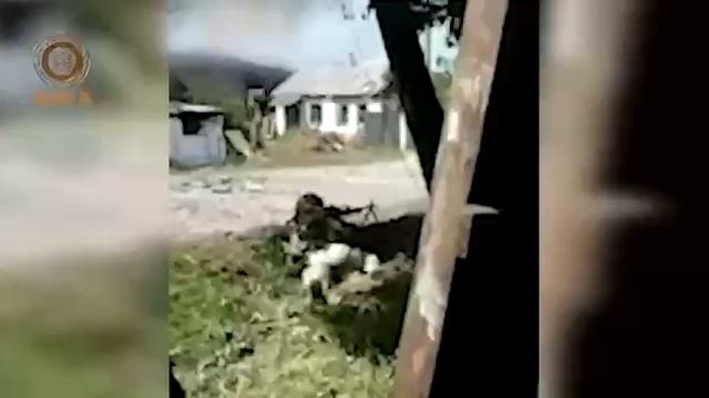 Война на Украине