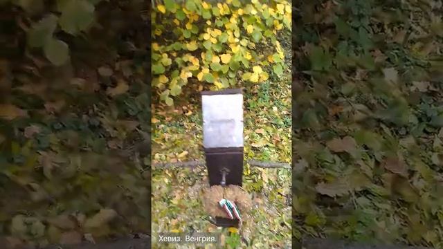 Интересное местечко. Это Хевиз. Венгрия. смотреть онлайн