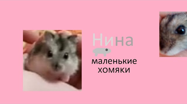 Нина маленькие хомяки смотреть онлайн