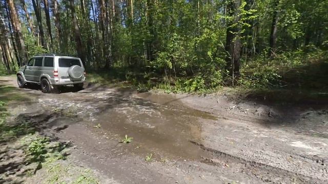 Тихо в лесу? смотреть онлайн