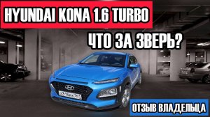 Hyundai Kona бензин 1,6 turbo. Что это за автомобиль? Отзыв владельца