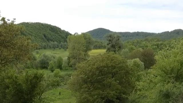 Българска Фондация Биоразнообразие смотреть онлайн