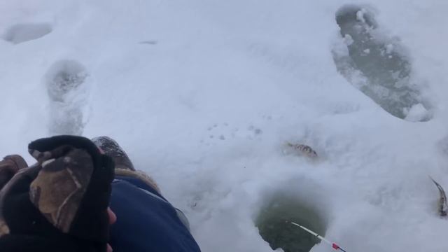 Рыбалка на ОКЕ / Рыба КЛЮЁТ исправно / Ураганный ВЕТЕР и СНЕГ смотреть онлайн