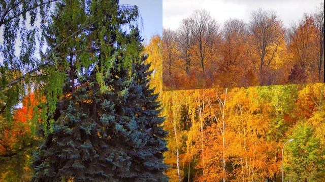 Татьяна Рудакова Осенняя любовь смотреть онлайн