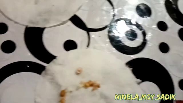 Всходы баклажан за 5-7 дней. Сроки посадки для Сибири. смотреть онлайн