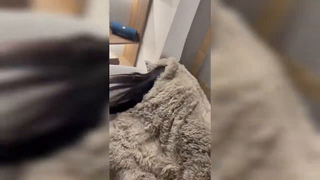Что делать если любимая обиделась смотреть онлайн