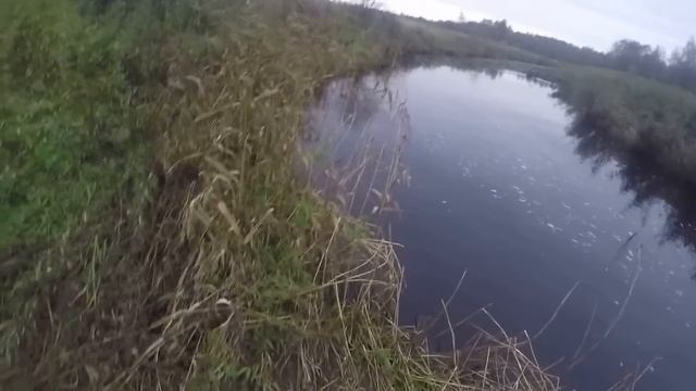 Ловля налима ранней осенью смотреть онлайн