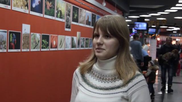 эфир 12 12 15 смотреть онлайн