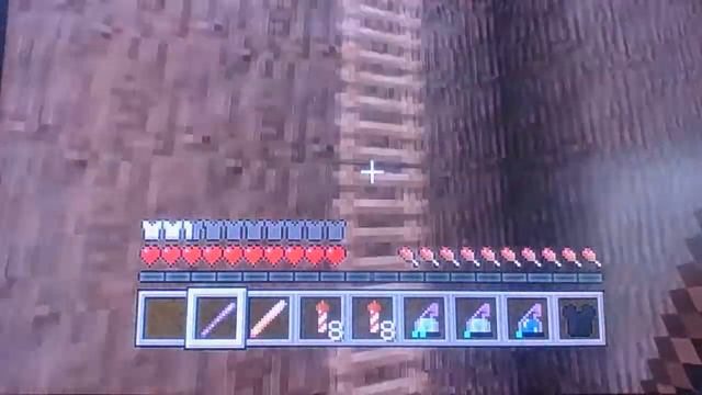 Minecraft-XBOX-Hide & Seek-Amazing Animals смотреть онлайн