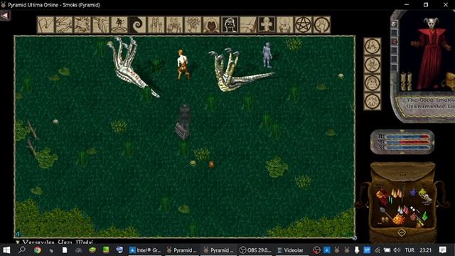 Ultima Online Hazine смотреть онлайн