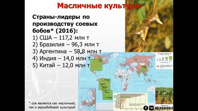 10 класс - Растениеводство мира смотреть онлайн