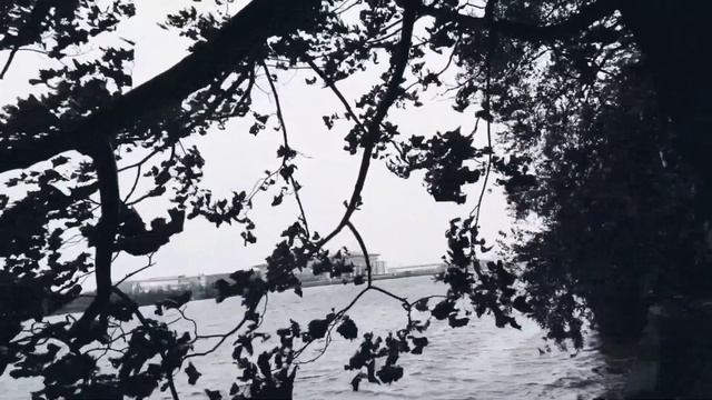 VID 20230920 224833 Благодарю, и что бы ни случилось...(Эзра Паунд)...Павел Васильев Лахтинский смотреть онлайн