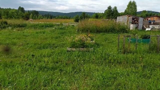 АПТЕКА ПОД НОГАМИ: ЧТО НЕЛЬЗЯ МУЖЧИНАМ! смотреть онлайн