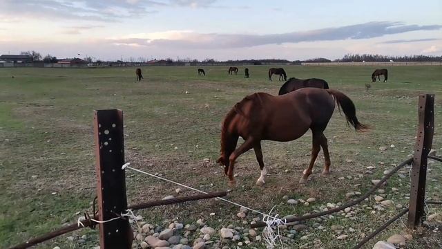 СТРАННАЯ ПОГОДА /ПОДАРКИ /ПОКУПКИ WILDBERRIES / VLOG смотреть онлайн