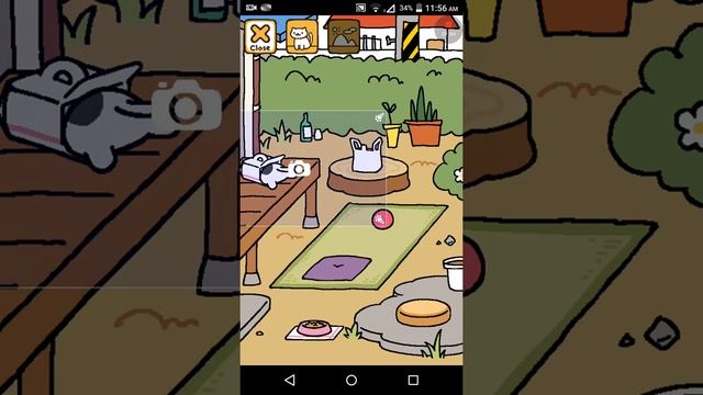 Neko Atsume Kitty Collecter Game! смотреть онлайн