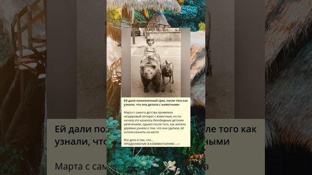 История женщины, приведшей к своему приговору из-за обращения с животными. смотреть онлайн