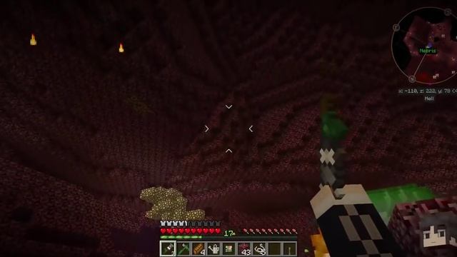 Agrarian Skies Ii Ep34 - The Health Inspector смотреть онлайн