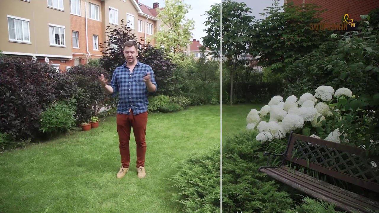 Телеканал «Загородный» смотреть онлайн