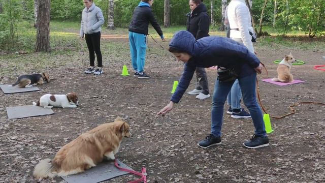 КМС - 157. смотреть онлайн