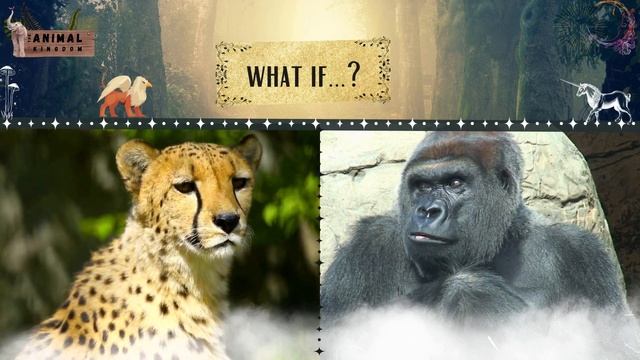 African Hybrid Animals смотреть онлайн