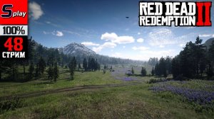 Red Dead Redemption 2 на 100% - [48-стрим] - Собирательство, испытания