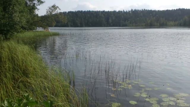 Озеро в Орехово,,Большое Борково,, смотреть онлайн