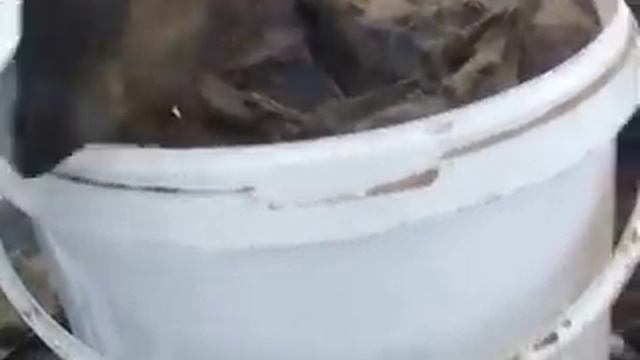 извлечение отливки смотреть онлайн