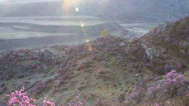 Алтай рассвет Яломан Altay Jaloman May 2016 смотреть онлайн