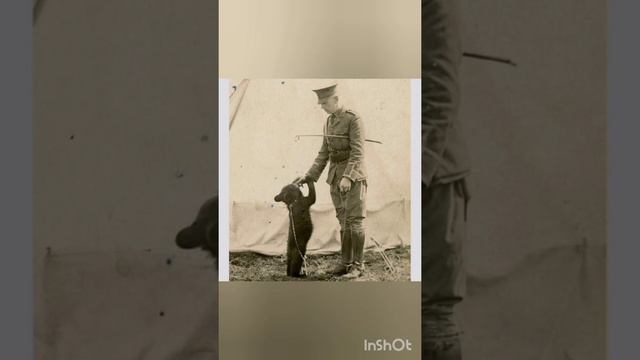 А.А. Милн и Винни-Пух смотреть онлайн