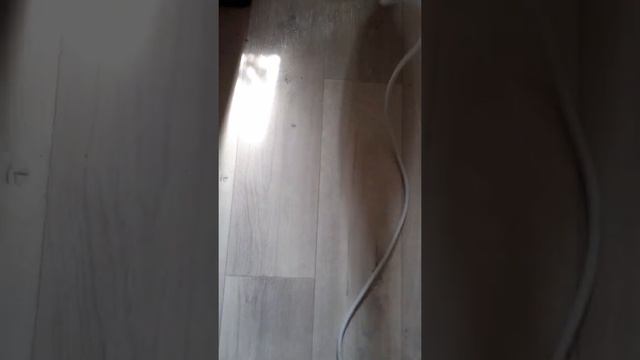 Обзор паровой швабры Kitfort KT - 1004 - 3 #kitfort мою пол после трапезы? смотреть онлайн