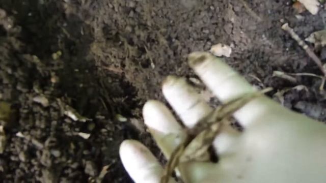 добываю луковицы черемши для басмы смотреть онлайн