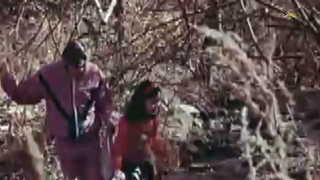 Алибек Днишев - Жизнь моя, любовь моя смотреть онлайн