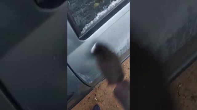 Строительная Честность