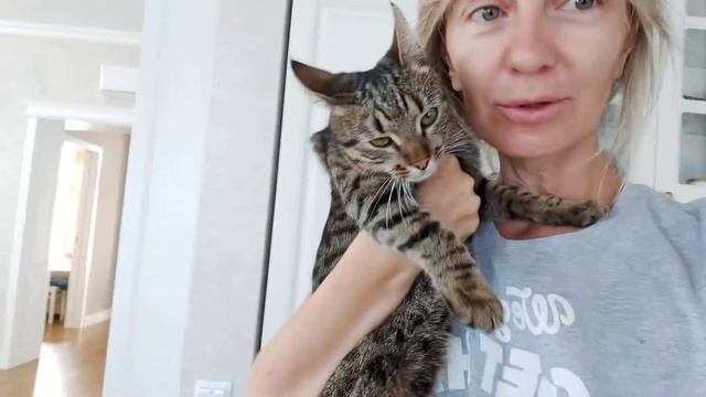 Сегодня едем к ветеринару смотреть онлайн