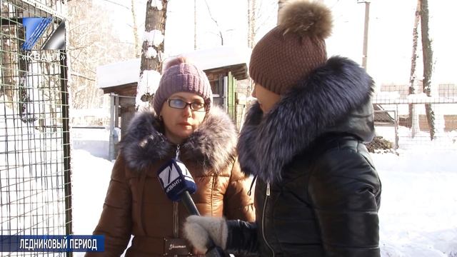Как спасают от холода обитателей экоцентра «Кузнецкий Алатау» смотреть онлайн