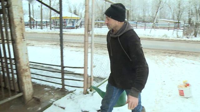 Медведь на дороге 11.09.2018 смотреть онлайн