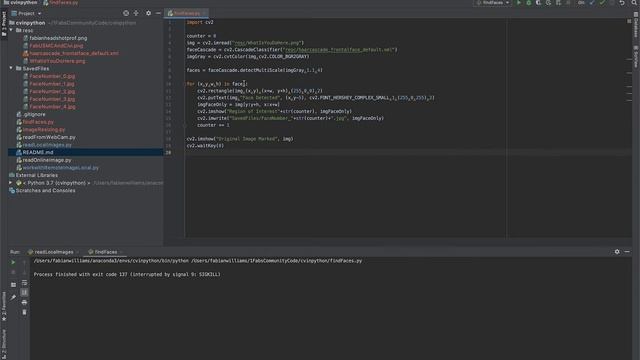 Face Detection and Persistence Python and OpenCV смотреть онлайн