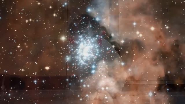 023 Истории о животных смотреть онлайн