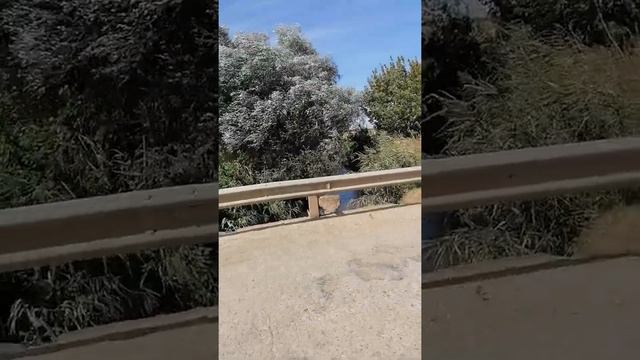 Салгир, самая длинная река в Крыму смотреть онлайн