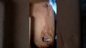 Простой способ избавиться от старого паралона на потолке авто Шкода Октавия А4.