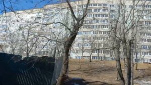 Диомидовская проходная/ул.Надибаидзе/вид на Змеинку/Владивосток/