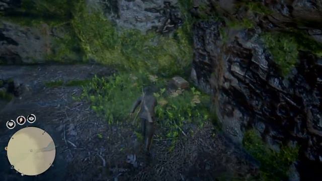 Red Dead Redemption 2 Online сокровище водопад